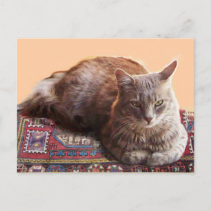 TURKISH CAT ON THE OLD CARPET POSTCARD