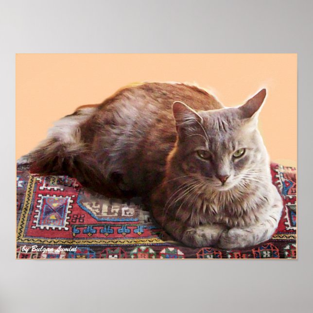 TURKISH CAT ON THE OLD CARPET POSTER (Front)