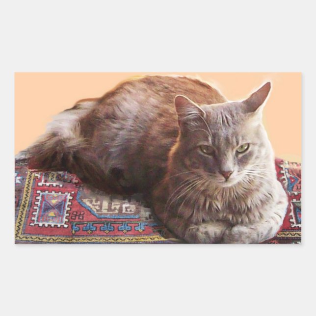 TURKISH CAT ON THE OLD CARPET RECTANGULAR STICKER (Front)