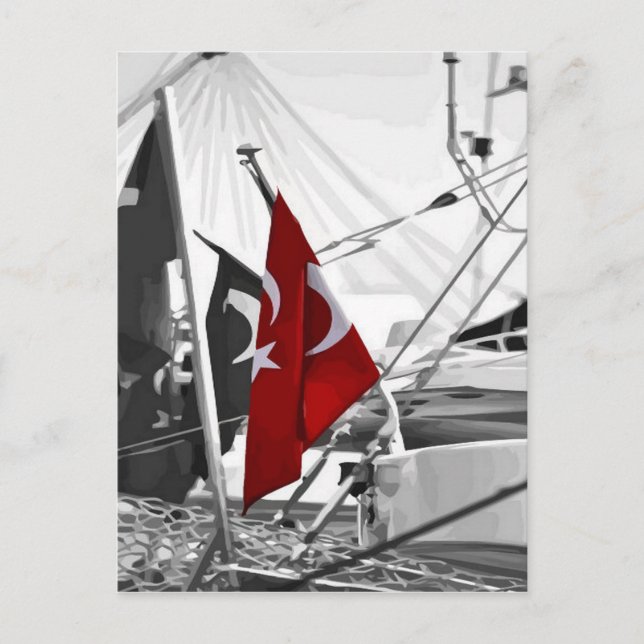 Turkish Flag - Al Sancak Postcard (Front)