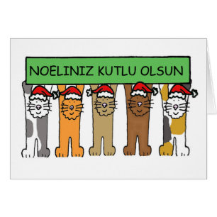 Turkish Happy Christmas Cats in Santa Hats