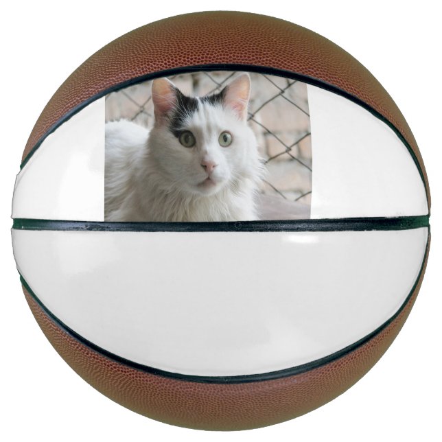 turkish van basketball (Front)