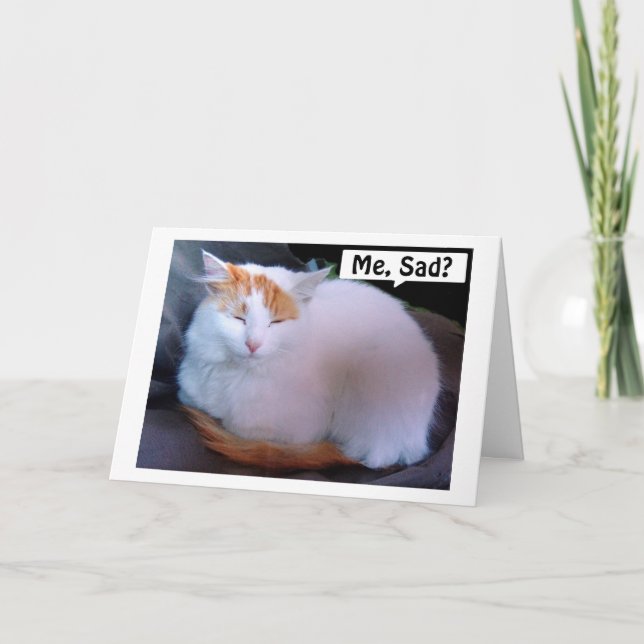 TURKISH VAN CAT IS SO SAD =MISS U AT CHRISTMAS HOLIDAY CARD (Front)