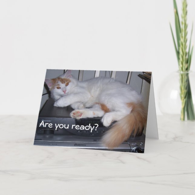 TURKISH VAN IS READY TO CELEBRATE YOUR BIRTHDAY CARD (Front)
