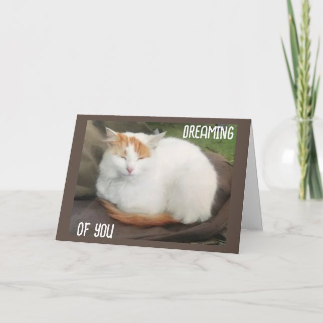 TURKISH VAN SAYS "HAPPY GRADUATION DAY" TO YOU! CARD (Front)