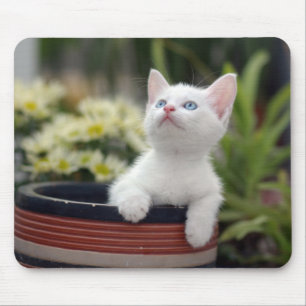 Turkish White Kitten Mouse Mat