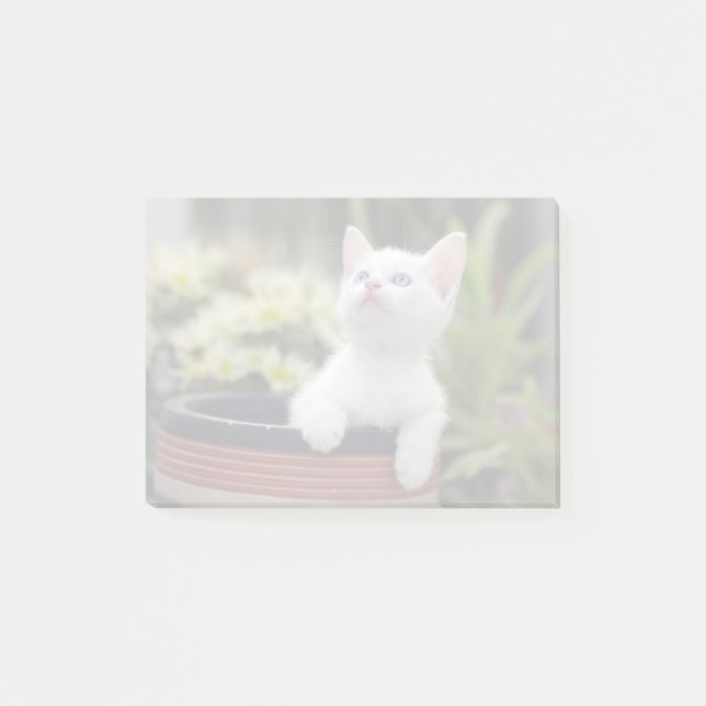 Turkish White Kitten Post-it Notes (Front)