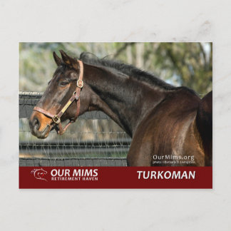 Turkoman postcard