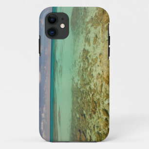Turks and Caicos, Grand Turk Island, Cockburn 2 iPhone 11 Case