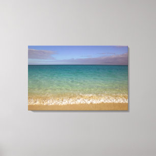 Turks and Caicos, Providenciales Island, Grace 2 Canvas Print