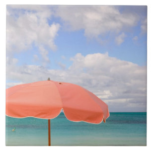 Turks and Caicos, Providenciales Island, Grace Tile