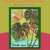Turks and Caicos Tropical Paradise Art
