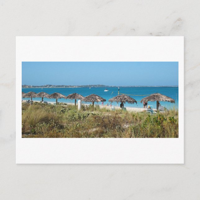 Turks & Caicos Islands Postcard (Front)