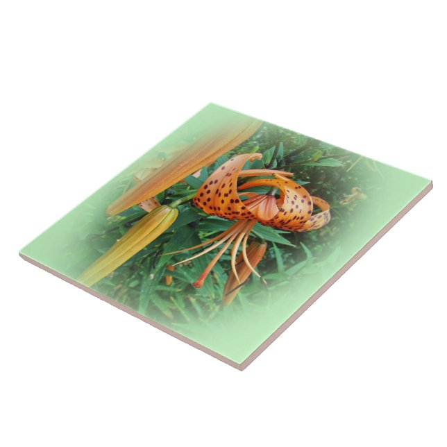 Turk's Cap Lily Wildflower Tile (Side)