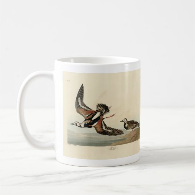 Turn-stone (Ruddy Turnstone) - Audubon's Birds Coffee Mug (Left)