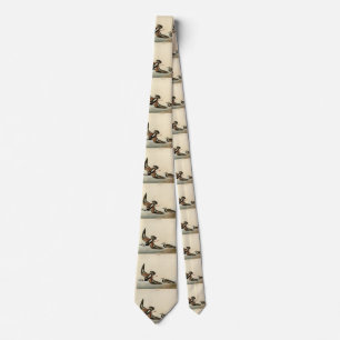 Turn-stone (Ruddy Turnstone) - Audubon's Birds Tie