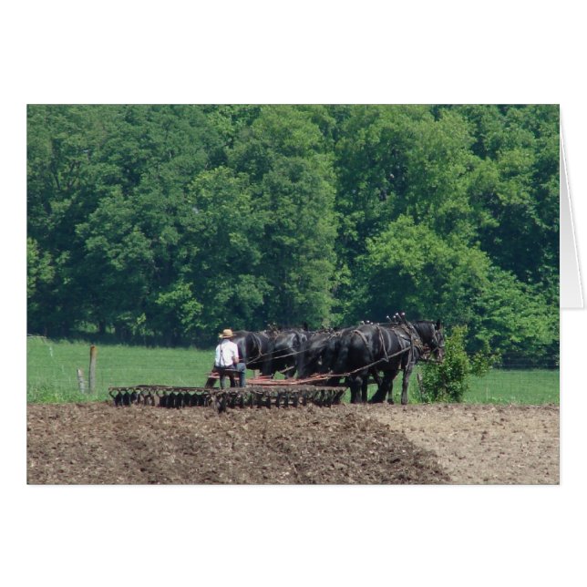 Turning a Six-Horse Team (Front Horizontal)