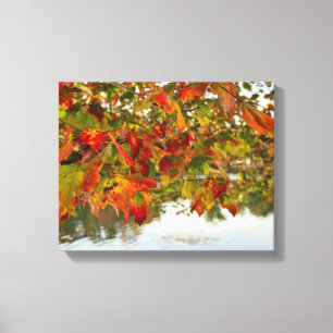 Turning Leaves Canvas Print