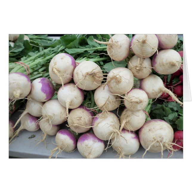 Turnip Pile (Front Horizontal)
