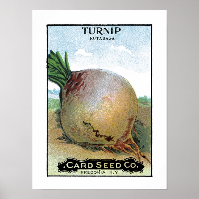 Turnip Seed Packet Label Poster (Front)