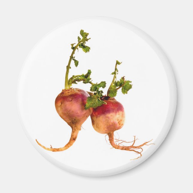 Turnip your tastebuds magnet (Front)
