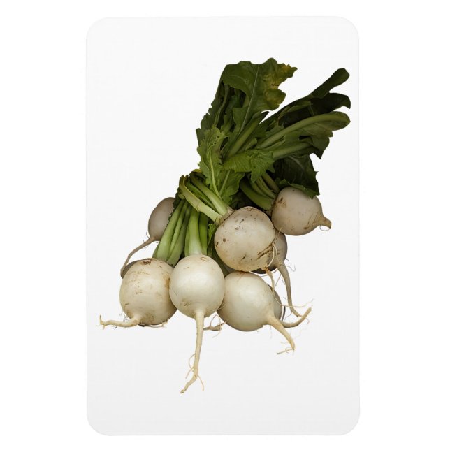 Turnips Photo Magnet (Vertical)