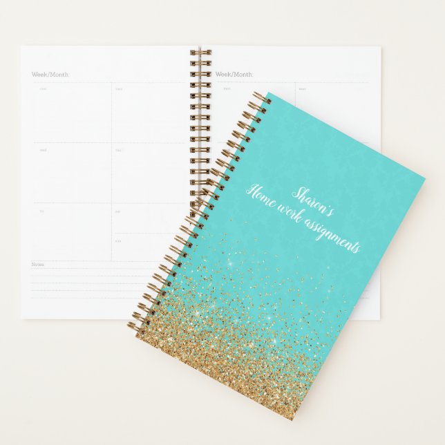 Turquoise and Gold Daily Planner (Display)