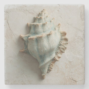 Turquoise and Sand Conch Shell Coastal Stone Coaster