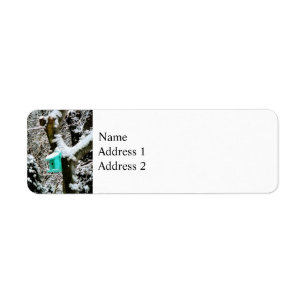 Turquoise Birdhouse in Winter