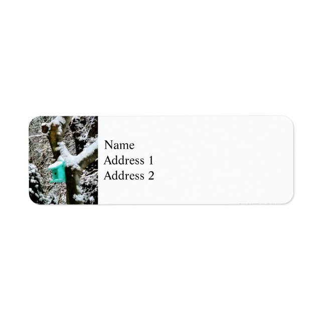 Turquoise Birdhouse in Winter (Front)