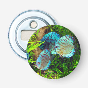 Turquoise Blue Discus Bottle Opener
