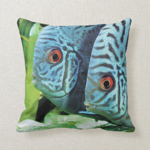 Turquoise Blue Discus Cushion