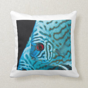 Turquoise Blue Discus Cushion
