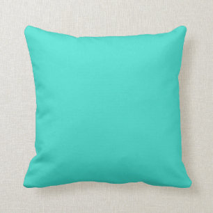 Turquoise Cushion