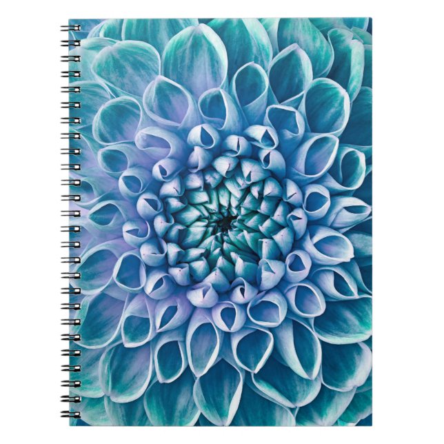 Turquoise Dahlia Flower Macro Background Notebook (Front)