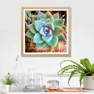 Turquoise Green Cactus Photo Bloom Where Planted Poster
