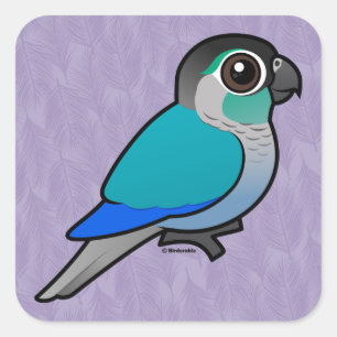 Turquoise Green-cheeked Conure Square Sticker
