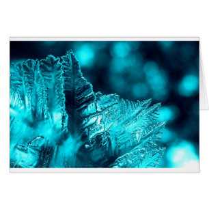 Turquoise Ice Photograph