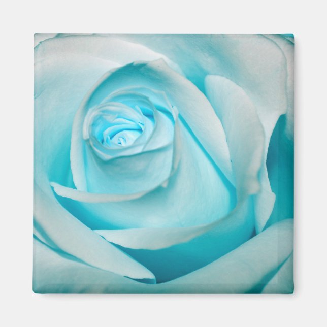 Turquoise Ice Rose Magnet (Front)