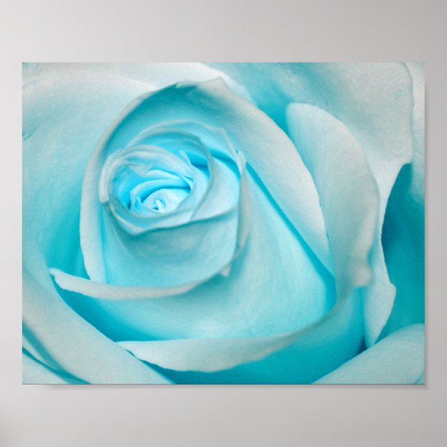 Turquoise Ice Rose Poster (Front)