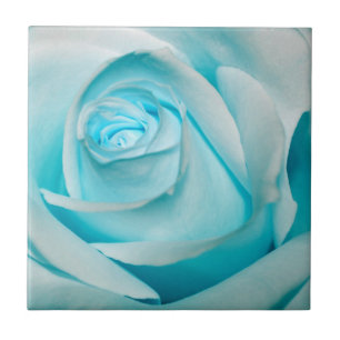 Turquoise Ice Rose Tile