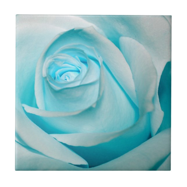 Turquoise Ice Rose Tile (Front)