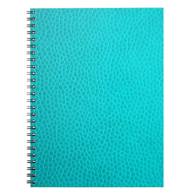 Turquoise leather skin texture skin notebook (Front)