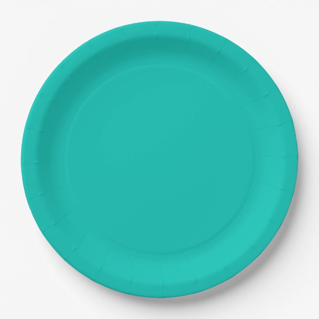 Turquoise Paper Plate (Front)
