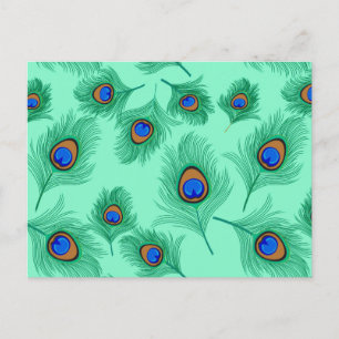 Turquoise Peacock Feathers on Light Aqua Postcard