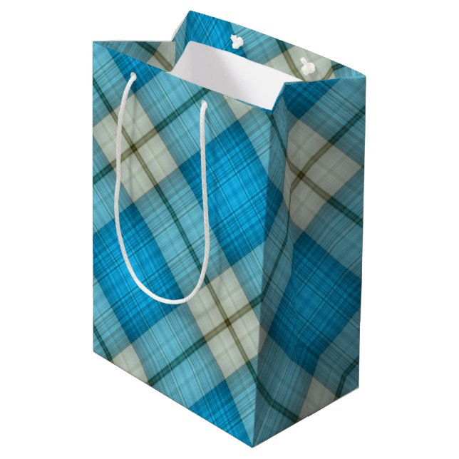 Turquoise Plaid Medium Gift Bag (Back Angled)