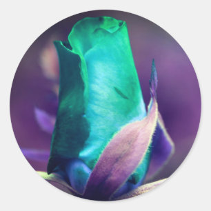 Turquoise Rosebud Flower Abstract Classic Round Sticker