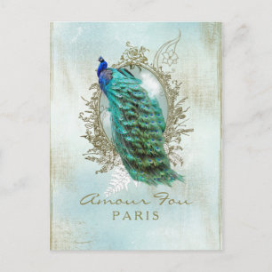 Turquoise Shabby Peacock - Postcard