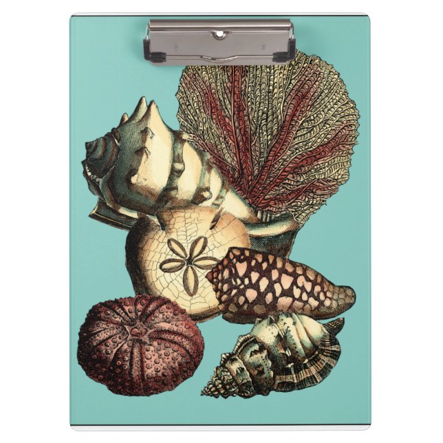 Turquoise Shell and Red Coral Collection Clipboard (Front)