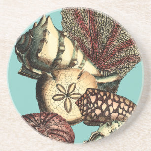 Turquoise Shell and Red Coral Collection Coaster